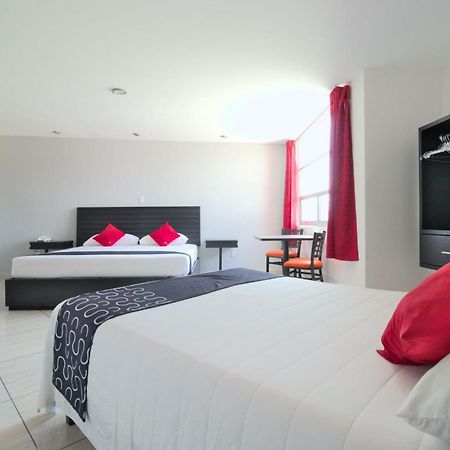 Hotel Euro Confort,Pachuca מראה חיצוני תמונה