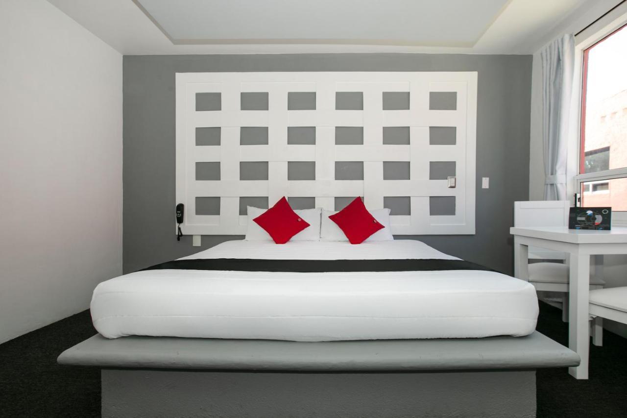 Hotel Euro Confort,Pachuca מראה חיצוני תמונה