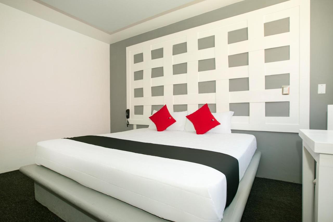 Hotel Euro Confort,Pachuca מראה חיצוני תמונה